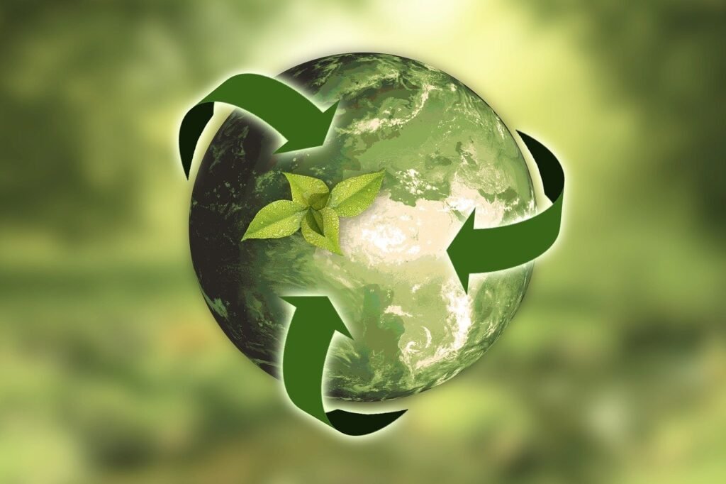 The Role of Sustainable Materials in Minimizing Environmental Impact