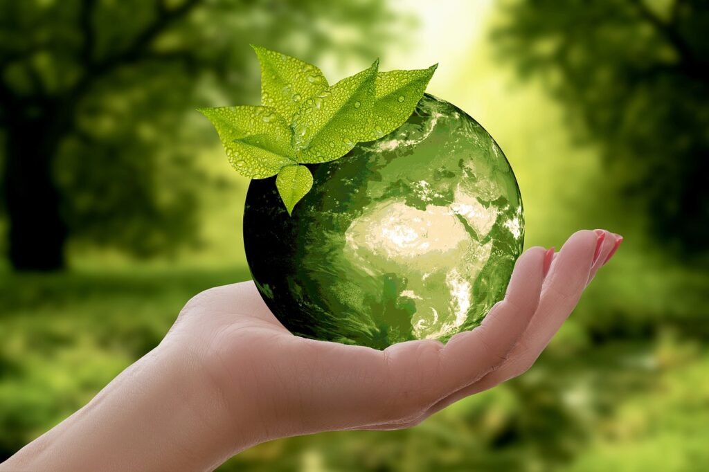 The Role of Sustainable Materials in Minimizing Environmental Impact