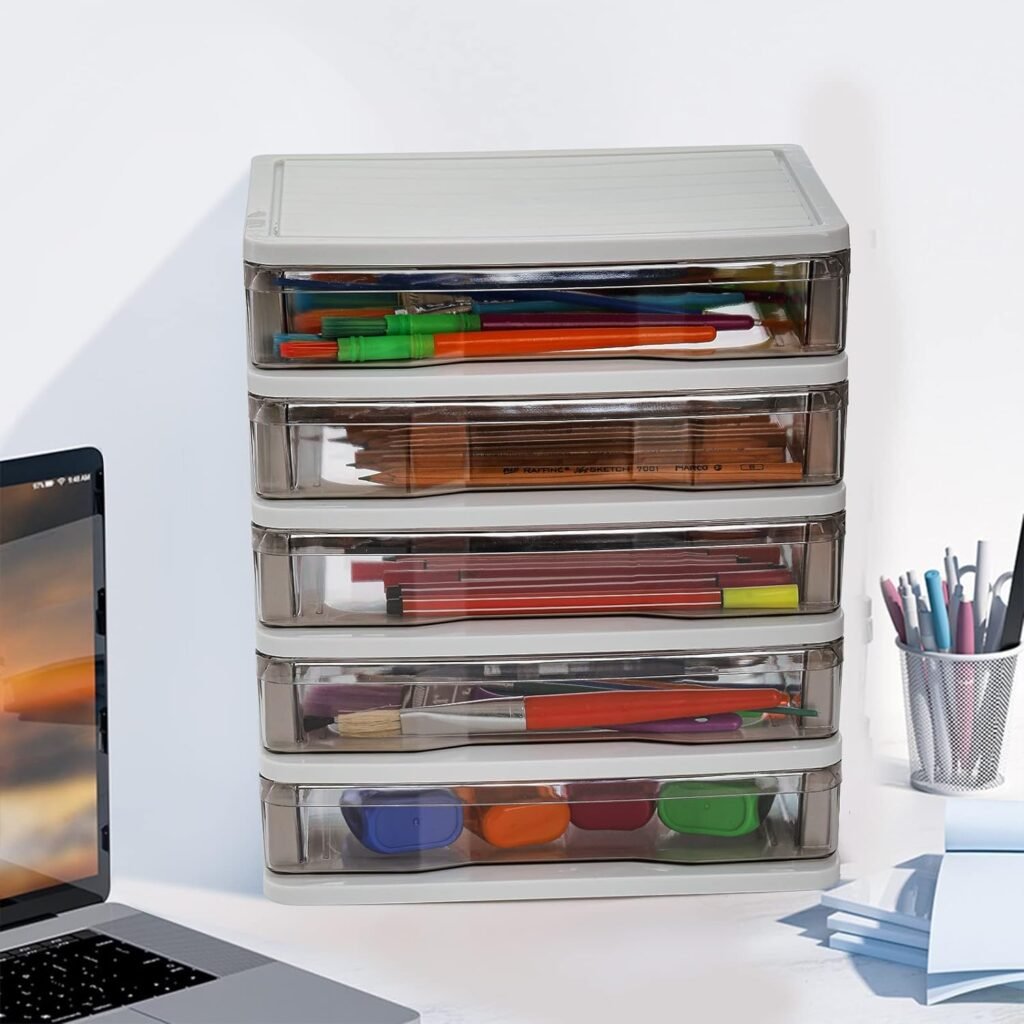 DEAYOU Small Storage Bin, Plastic Organizer, Storage Bin Container with Drawers for Desk, Accessory, Stationery